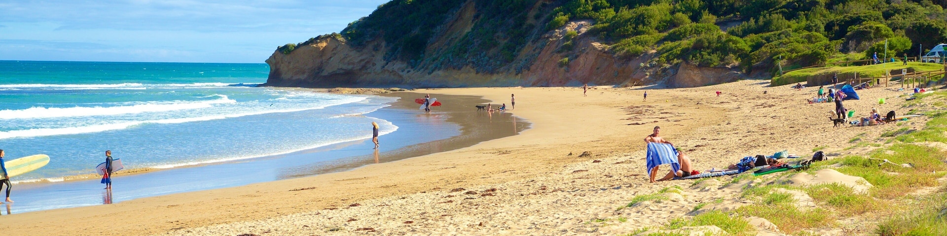 Great Ocean Road which includes a beach and a bay or harbor