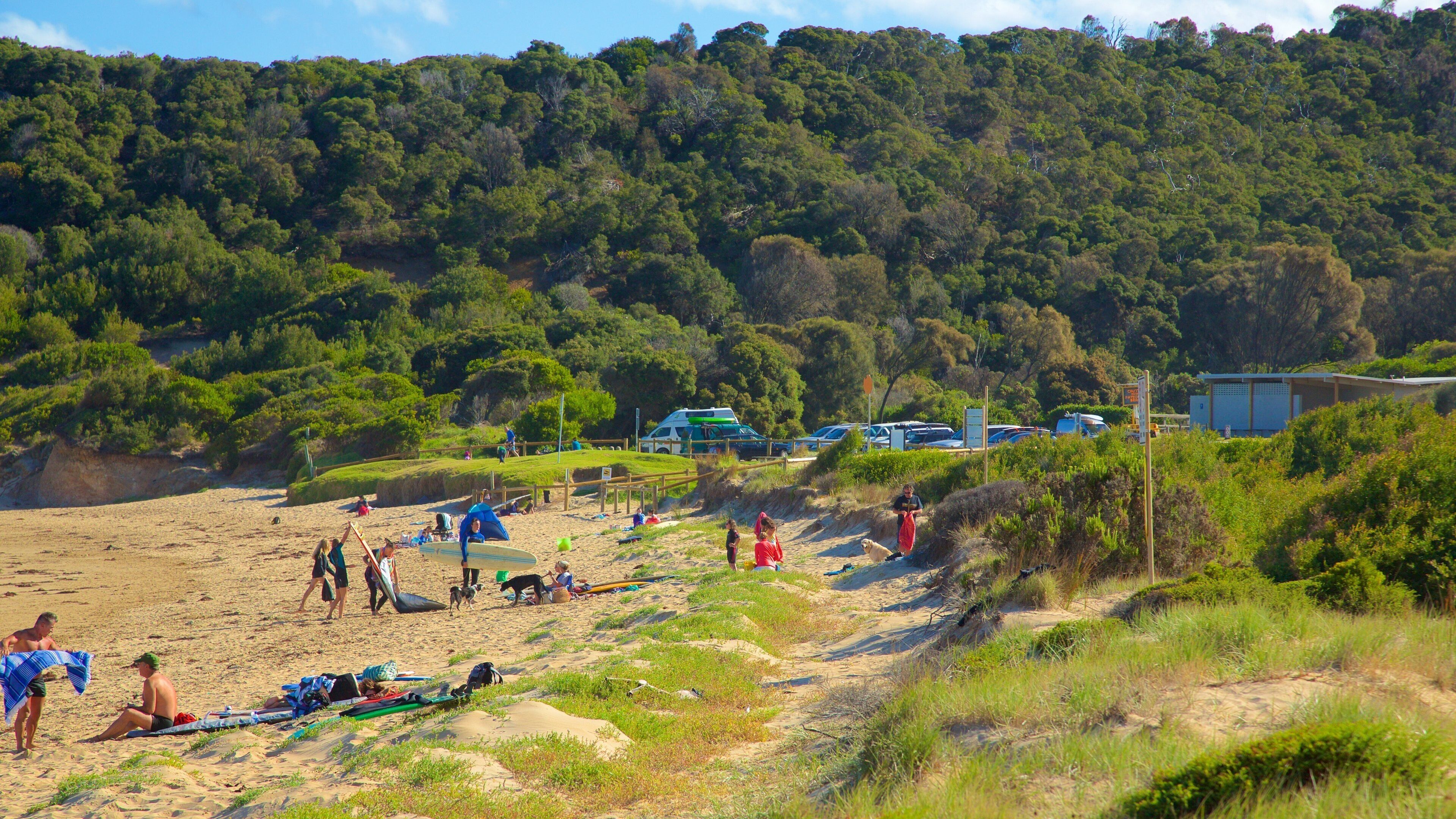 Great Ocean Road das einen allgemeine Küstenansicht sowie große Menschengruppe