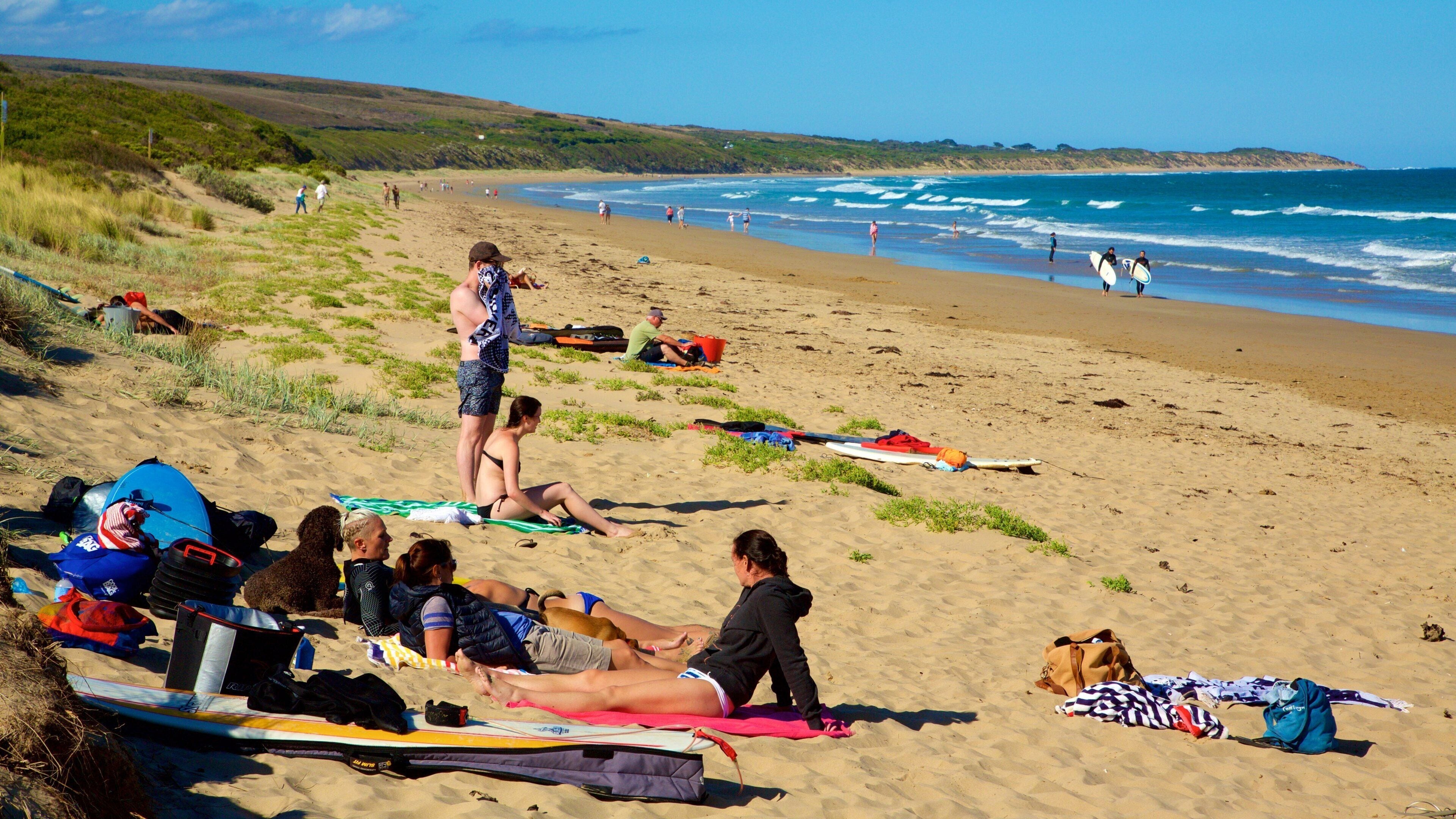 Great Ocean Road das einen Sandstrand und Bucht oder Hafen sowie kleine Menschengruppe