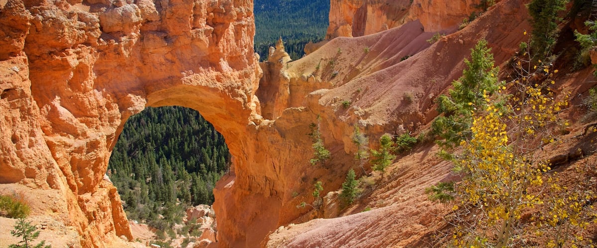 Bryce Canyon National Park which includes tranquil scenes, a gorge or canyon and desert views