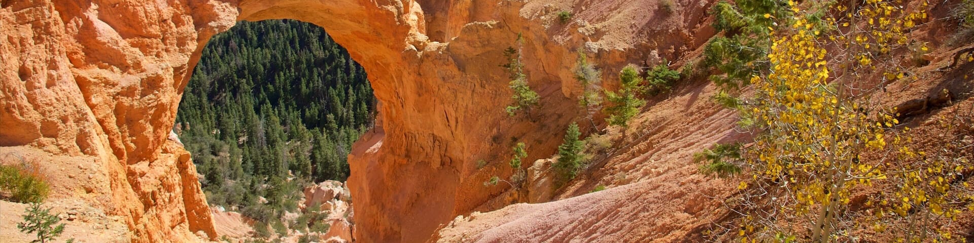 Bryce Canyon National Park featuring a gorge or canyon, desert views and tranquil scenes