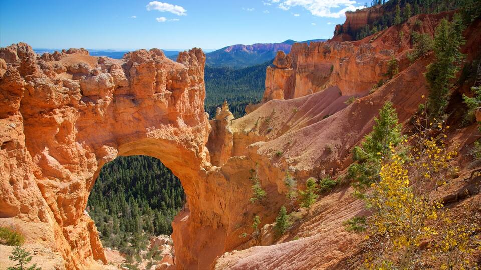 A natural rock arch formation surrounded by forested mountains.
