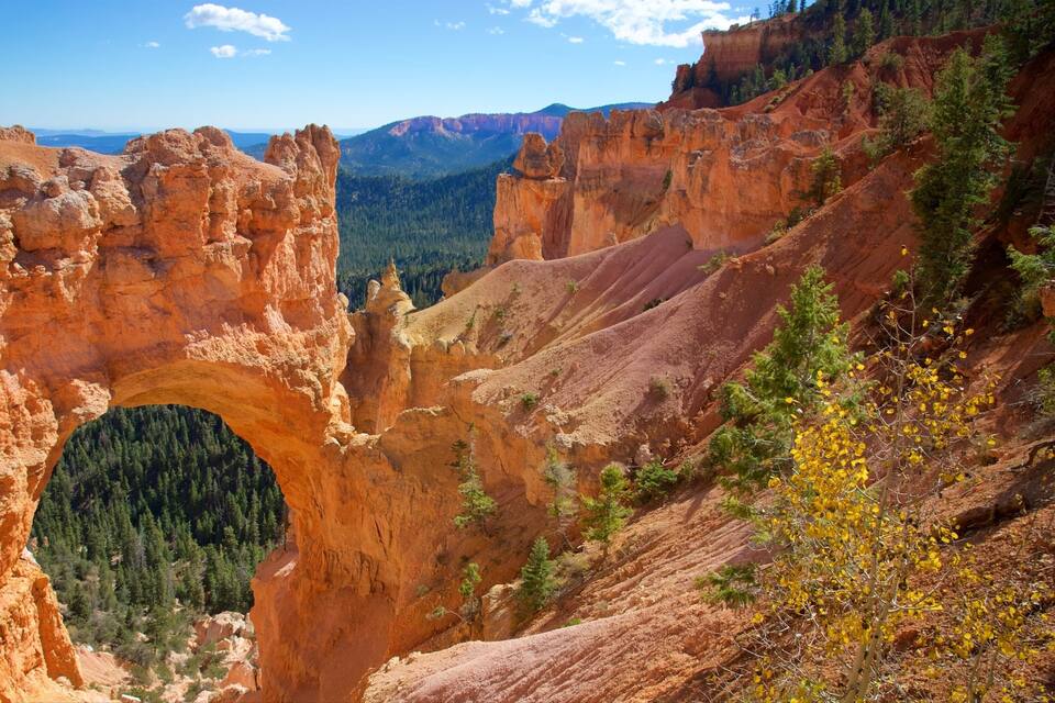 A natural rock arch formation surrounded by forested mountains.