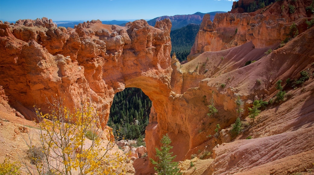 Tropic que inclui paisagens do deserto, um desfiladeiro ou canyon e cenas tranquilas