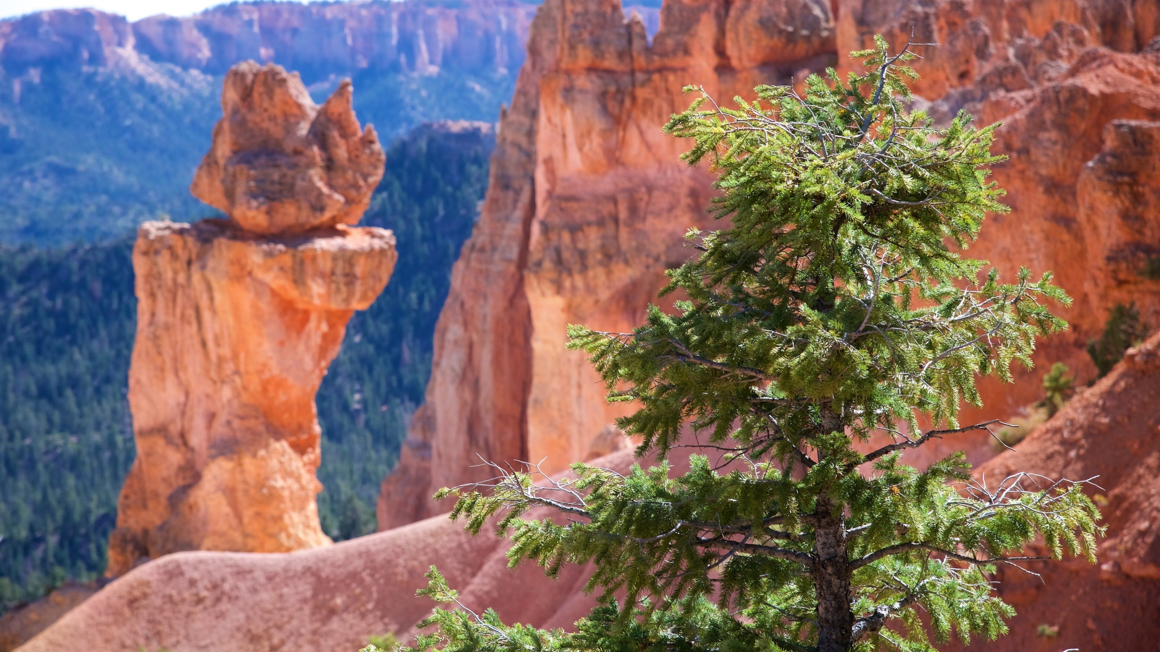 Bryce Natural Bridge
