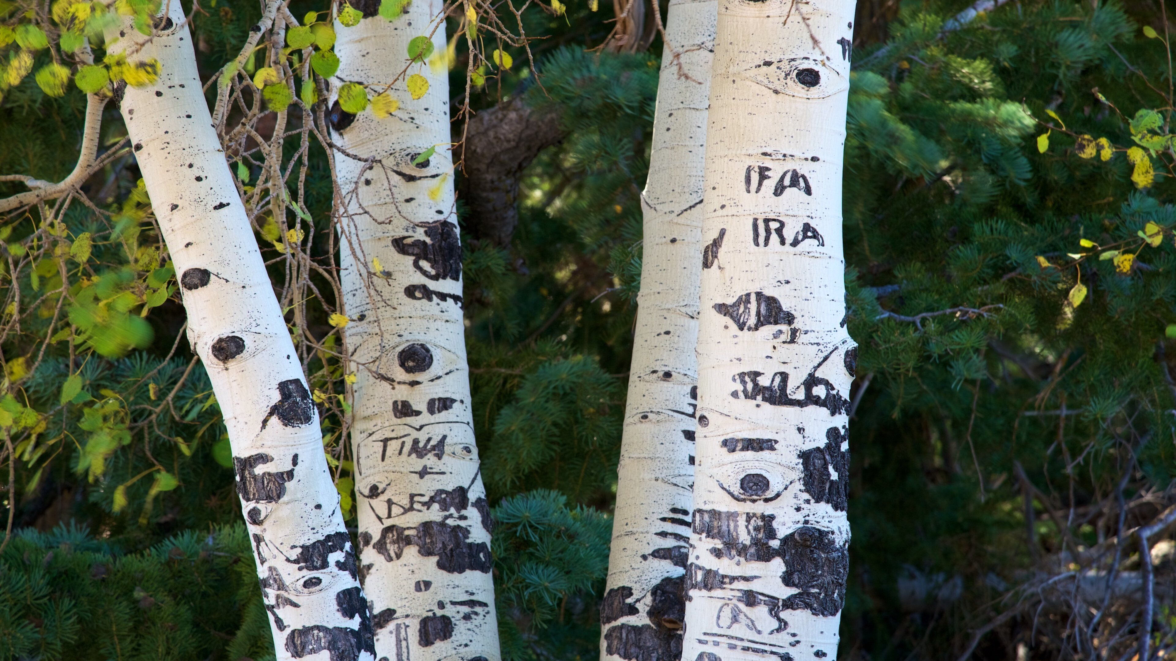 Bryce Natural Bridge