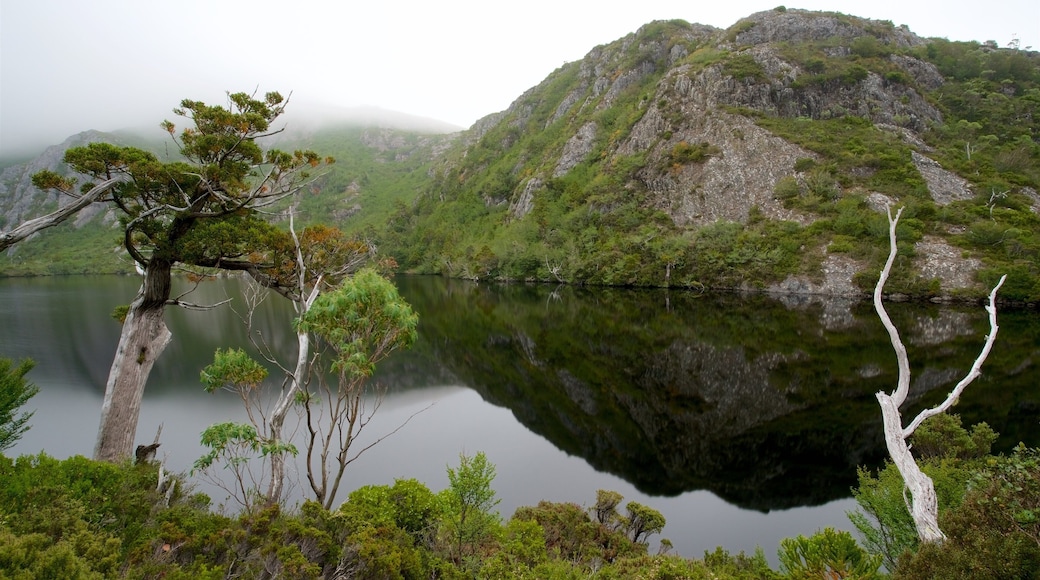 Crater Lake showing a river or creek and mist or fog