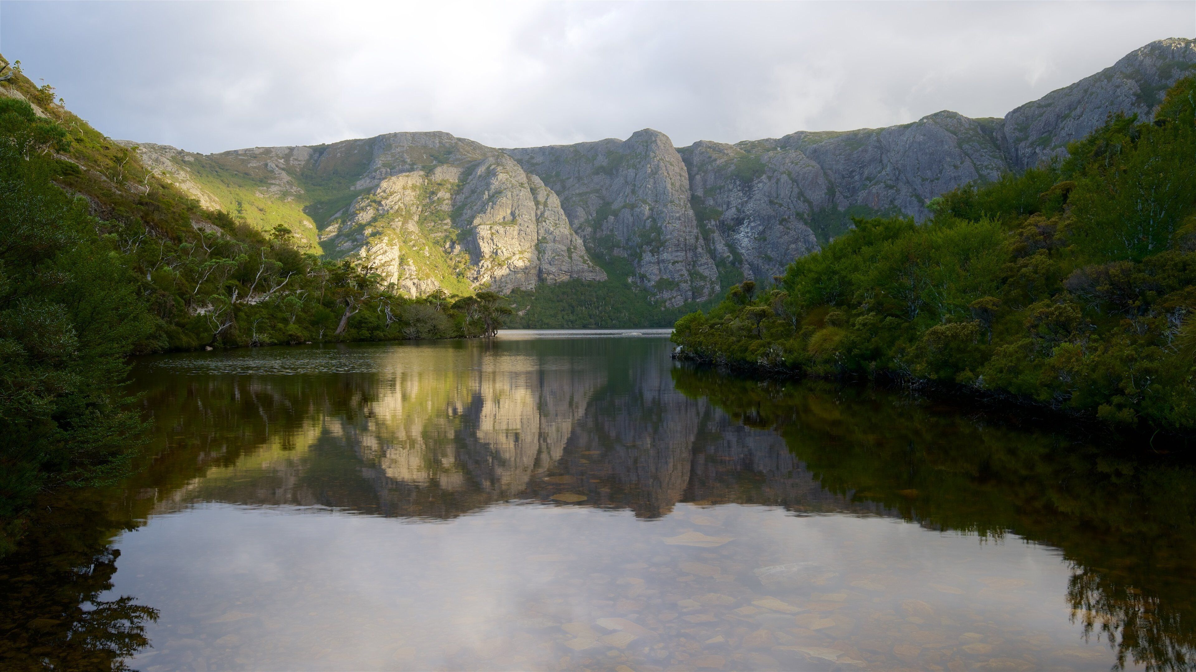 Cradle Mountain qui includes scènes tranquilles, lac ou étang et montagnes