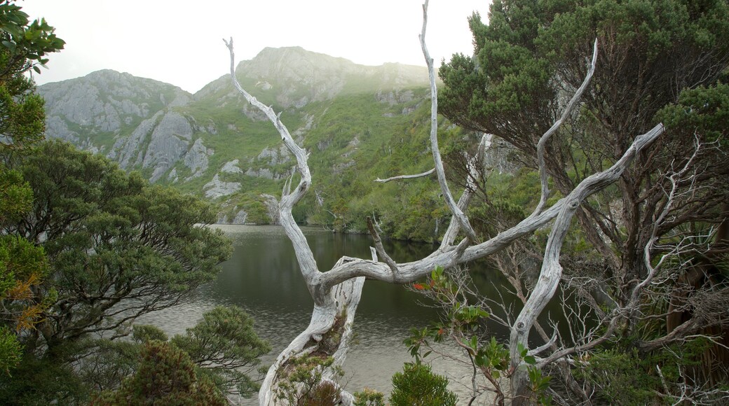 Cradle Mountain