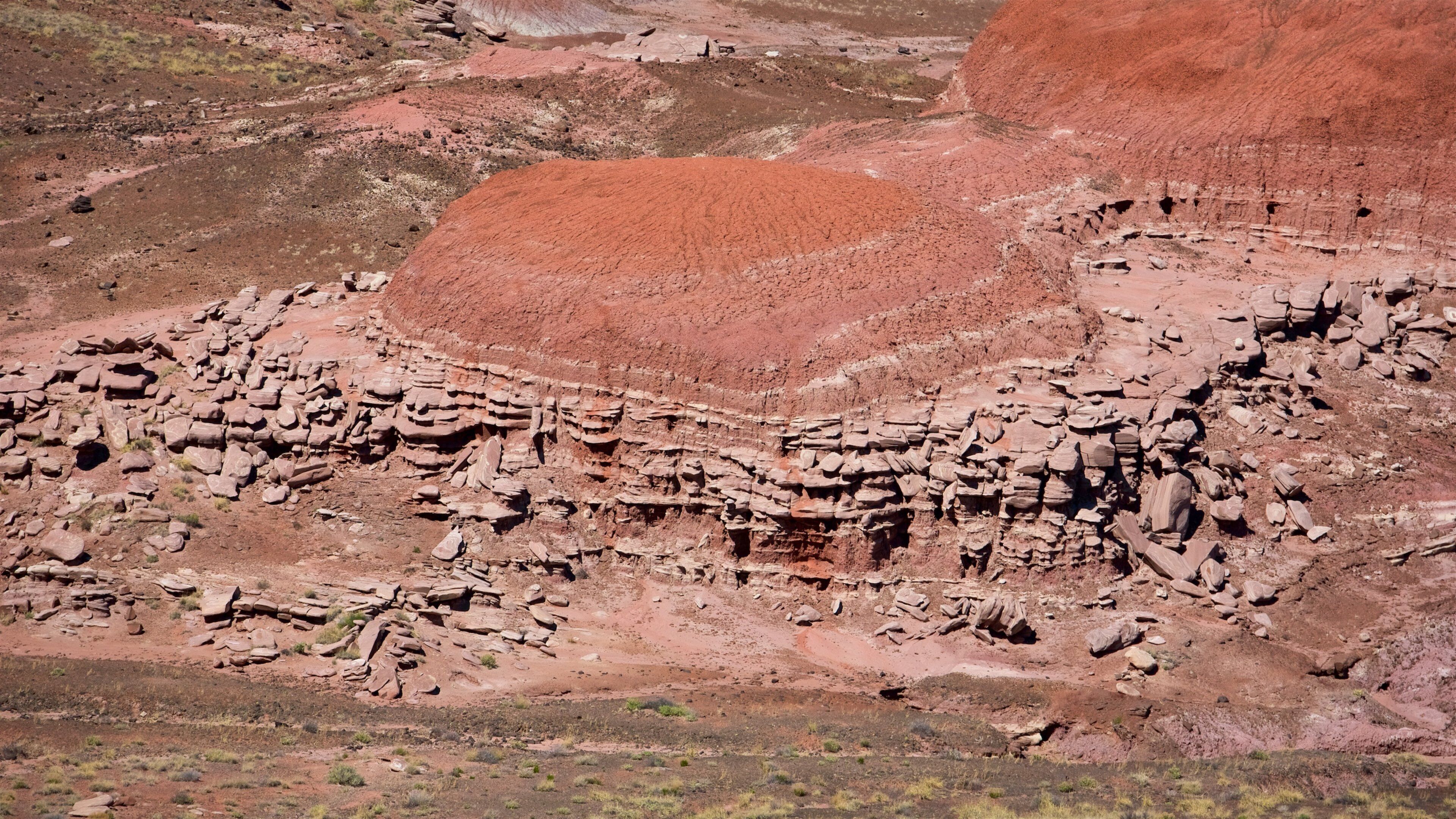 Petrified Forest National Park
