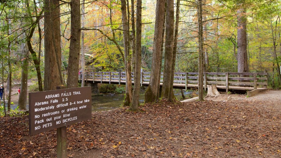 Great Smoky Mountains National Park featuring forests, signage and a river or creek