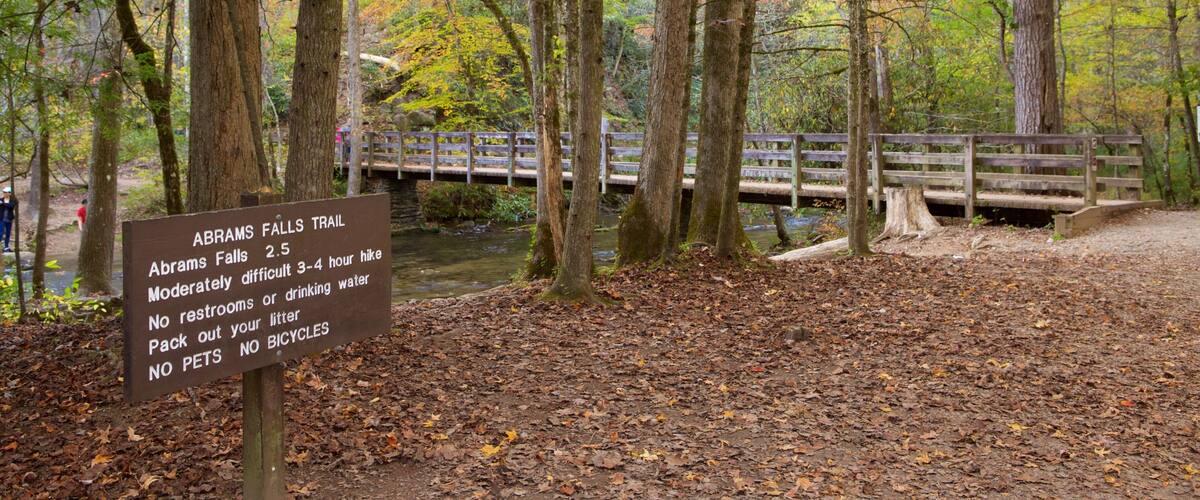 A sign for Abrams Falls Trail with a 2.5-mile hike, moderately difficult, no restroom, no litter, no pets, and no bicycles.