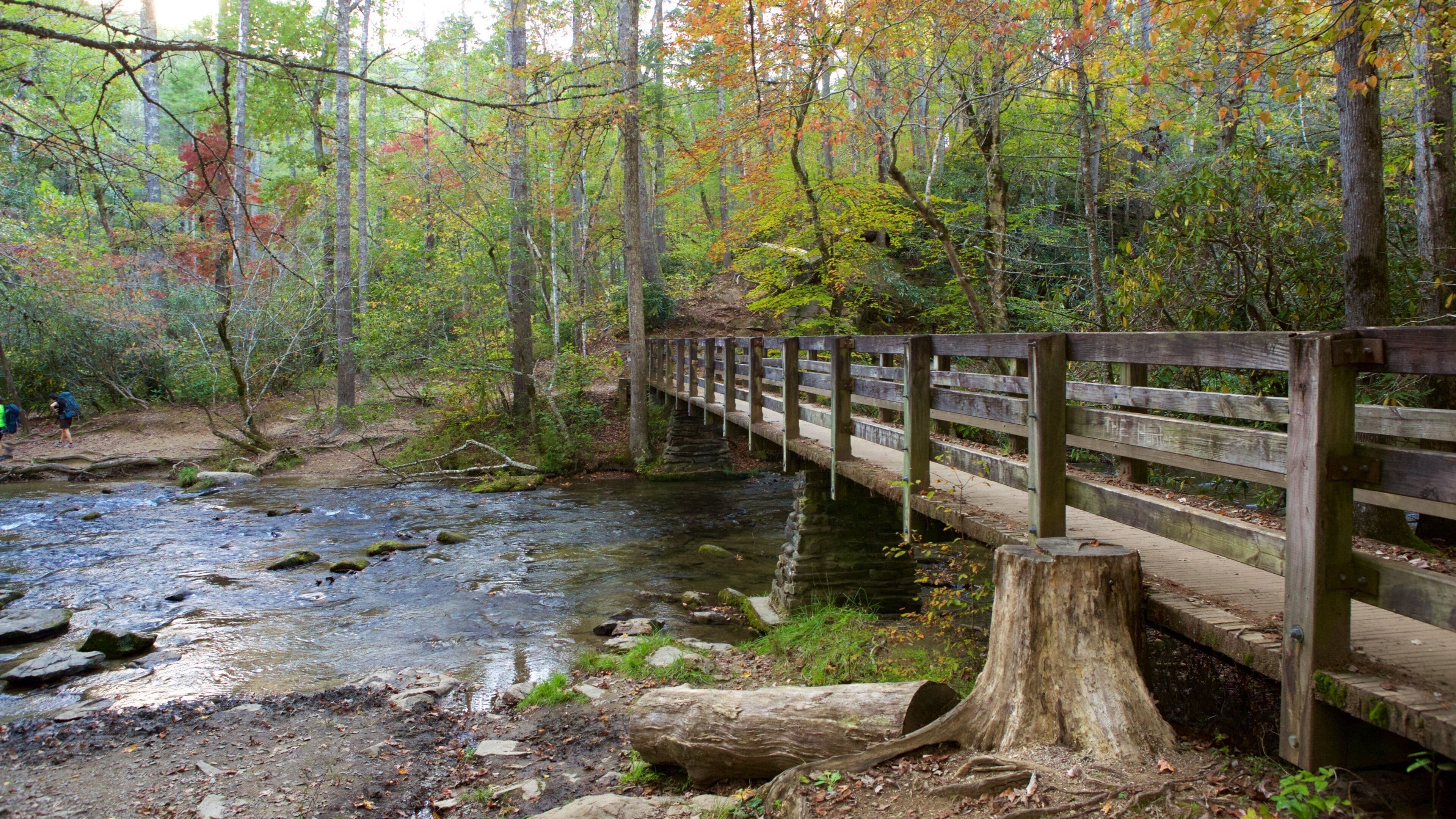 大煙山國家公園 设有 森林景觀, 河流或小溪 和 橋梁