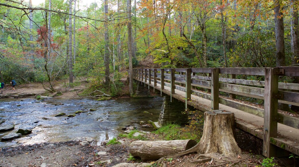 Great Smoky Mountains National Park which includes a river or creek, forests and a bridge