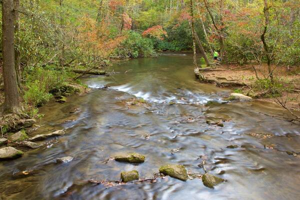 Parc national de Great Smoky Mountains mettant en vedette scènes forestières et rivière ou ruisseau
