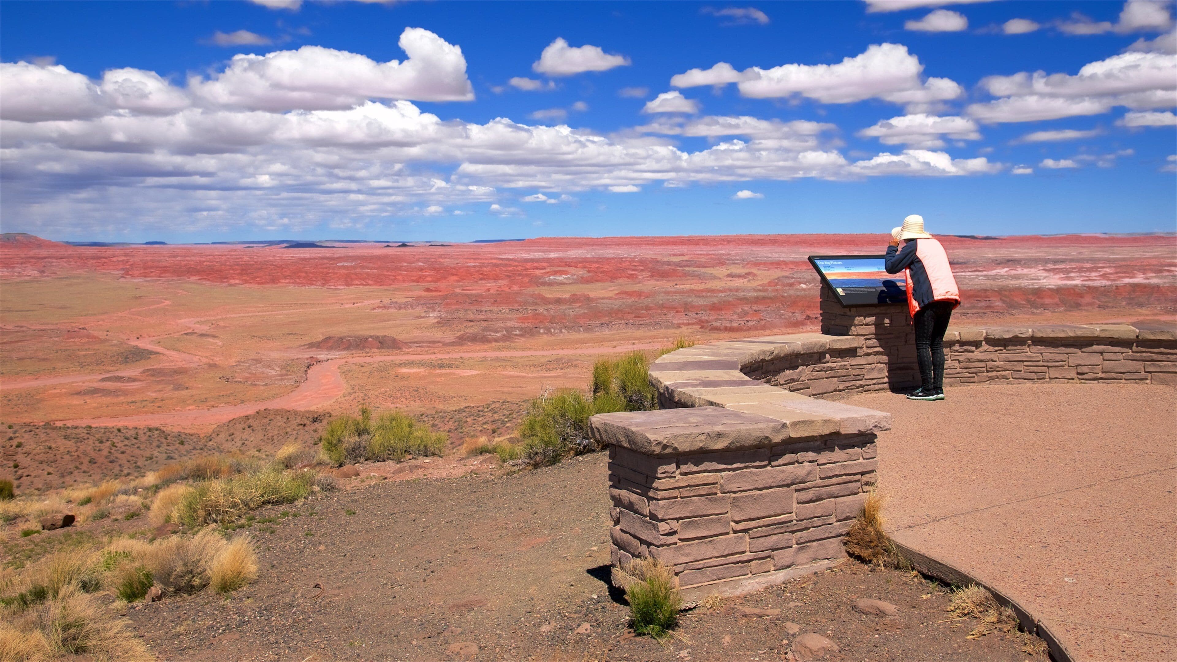 Petrified Forest National Park featuring tranquil scenes, views and desert views