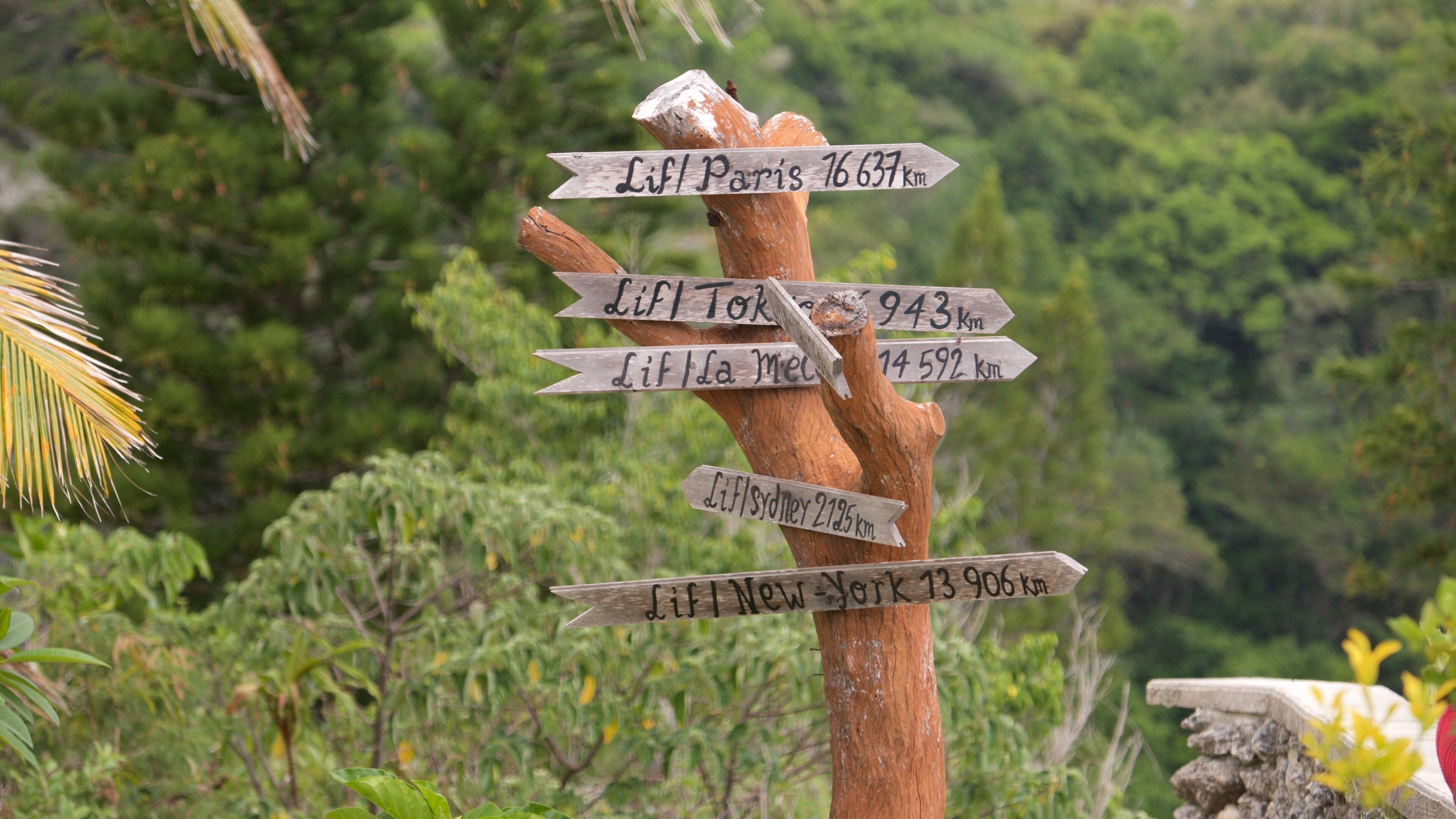 Lifou featuring signage