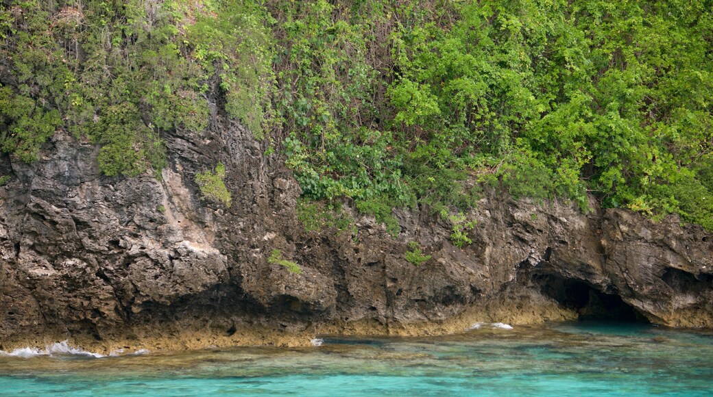 Lifou showing general coastal views