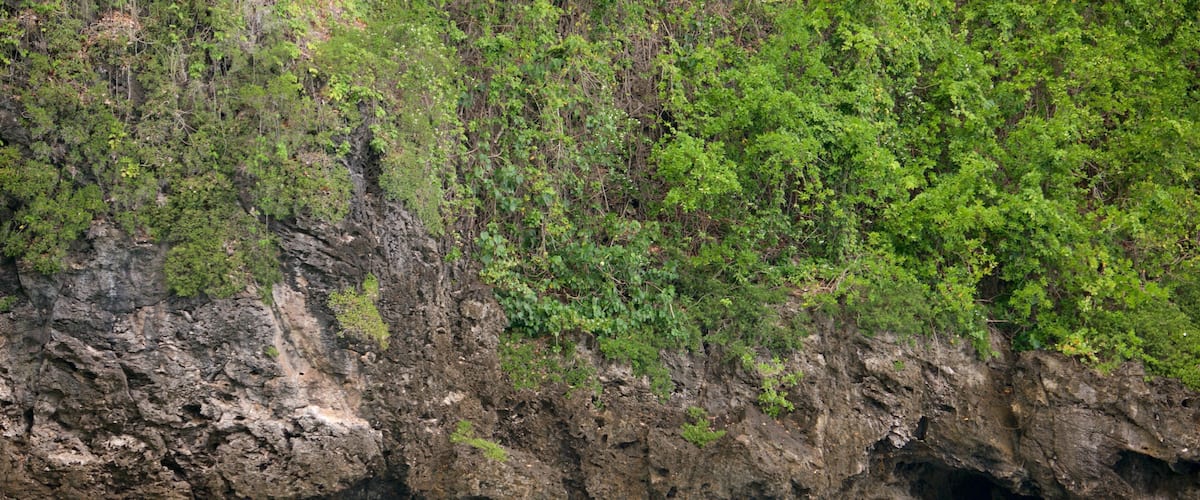 Lifou mostrando vista della costa