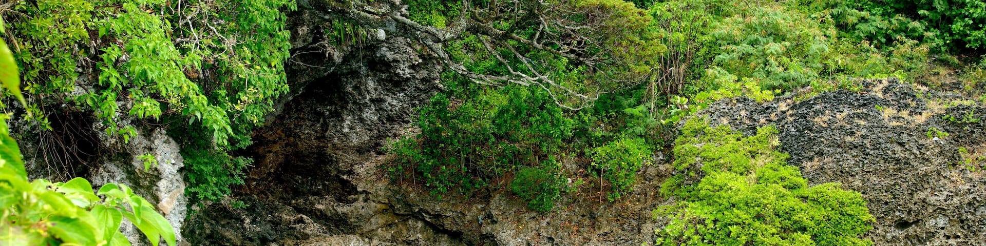 Lifou showing colorful reefs