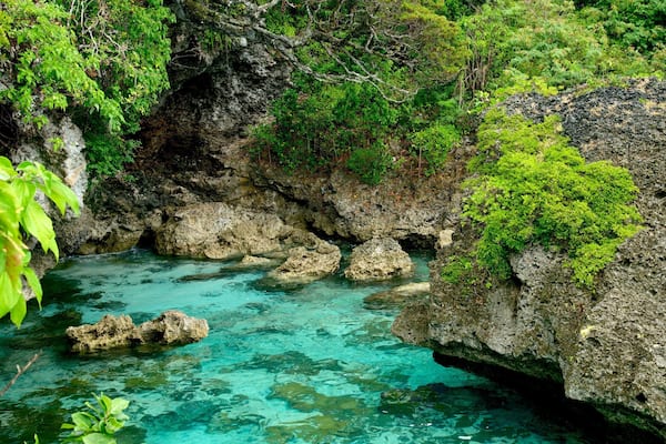 Lifou featuring coral