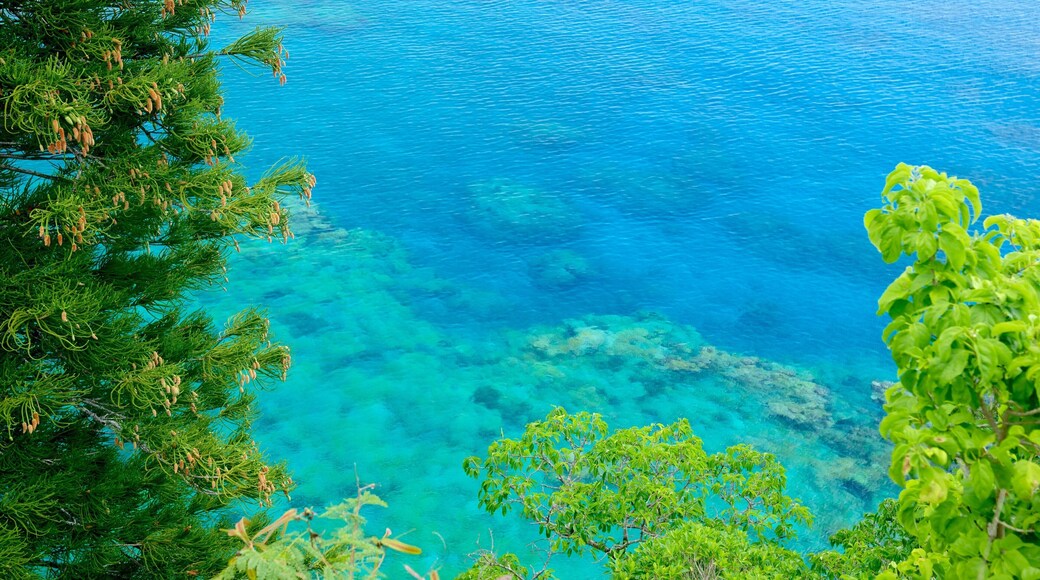 Jokin Cliffs which includes coral