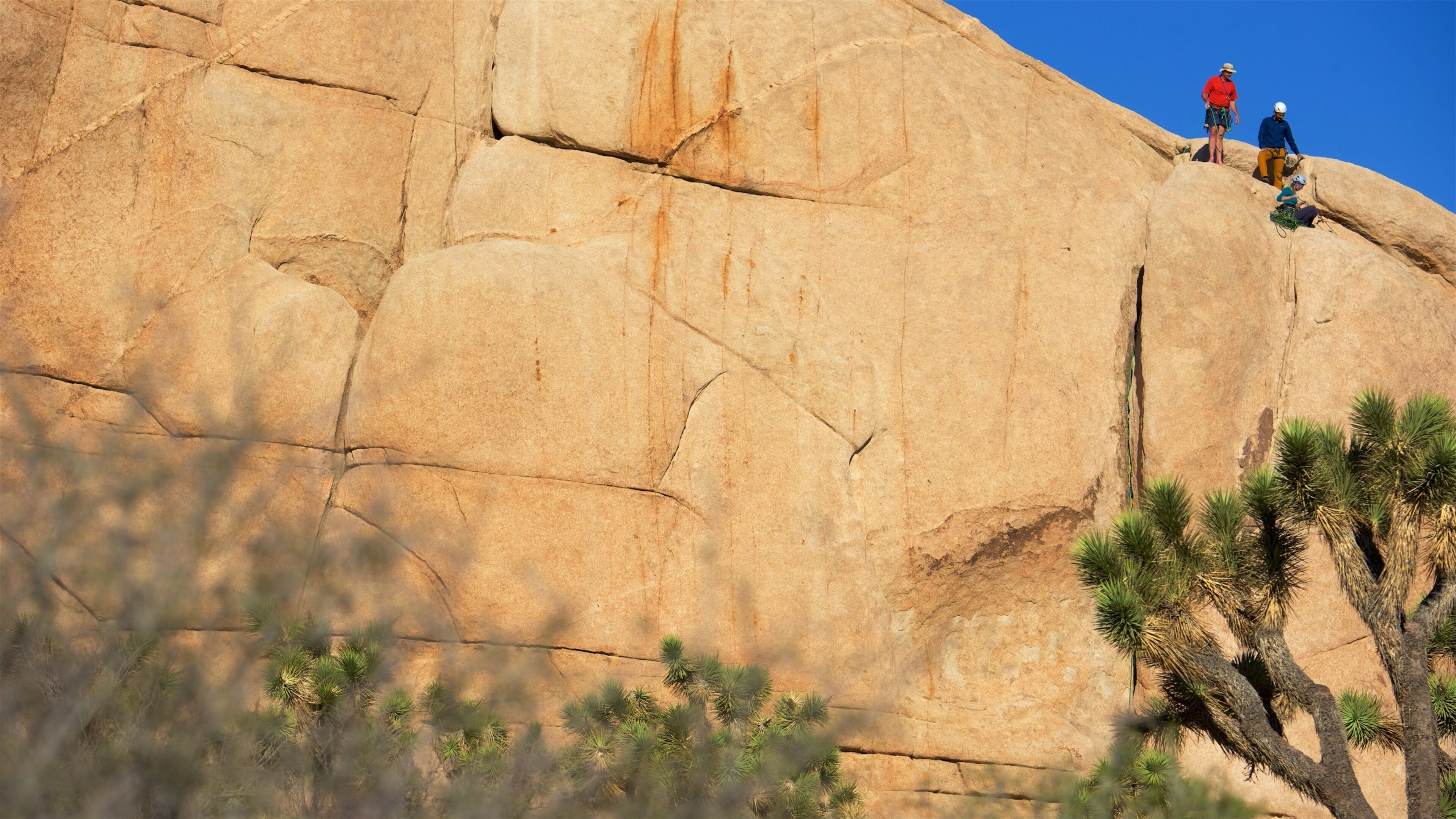 Intersection Rock featuring climbing and a gorge or canyon as well as a small group of people