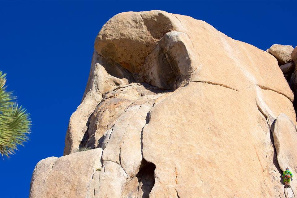 A large rock formation with a crevice and a cactus in the foreground.