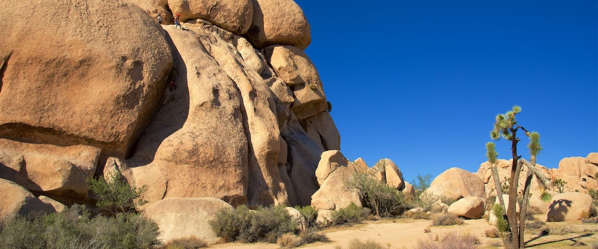 Intersection Rock which includes desert views and a gorge or canyon