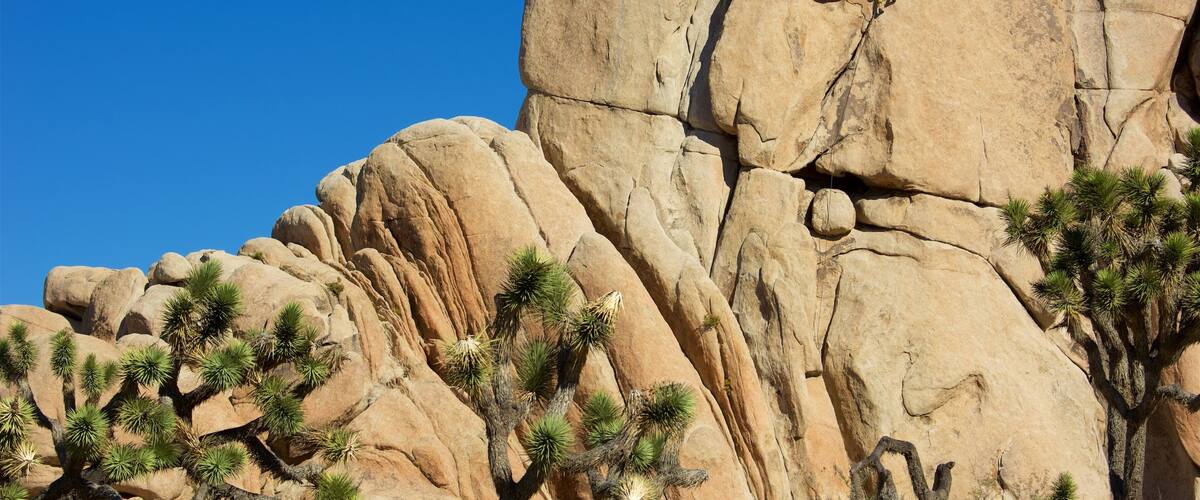 Intersection Rock featuring a gorge or canyon
