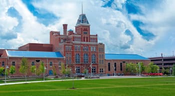 Auraria