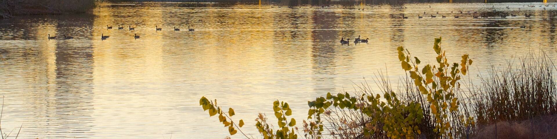 Denver welches beinhaltet Hochhaus, Landschaften und See oder Wasserstelle