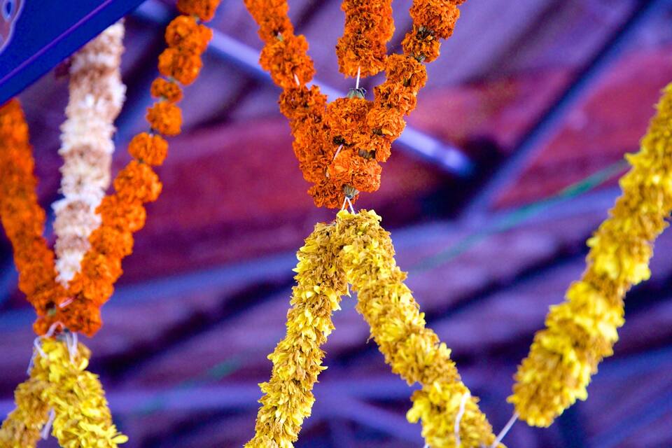 Guirlandes de soucis aux couleurs orange et jaune.