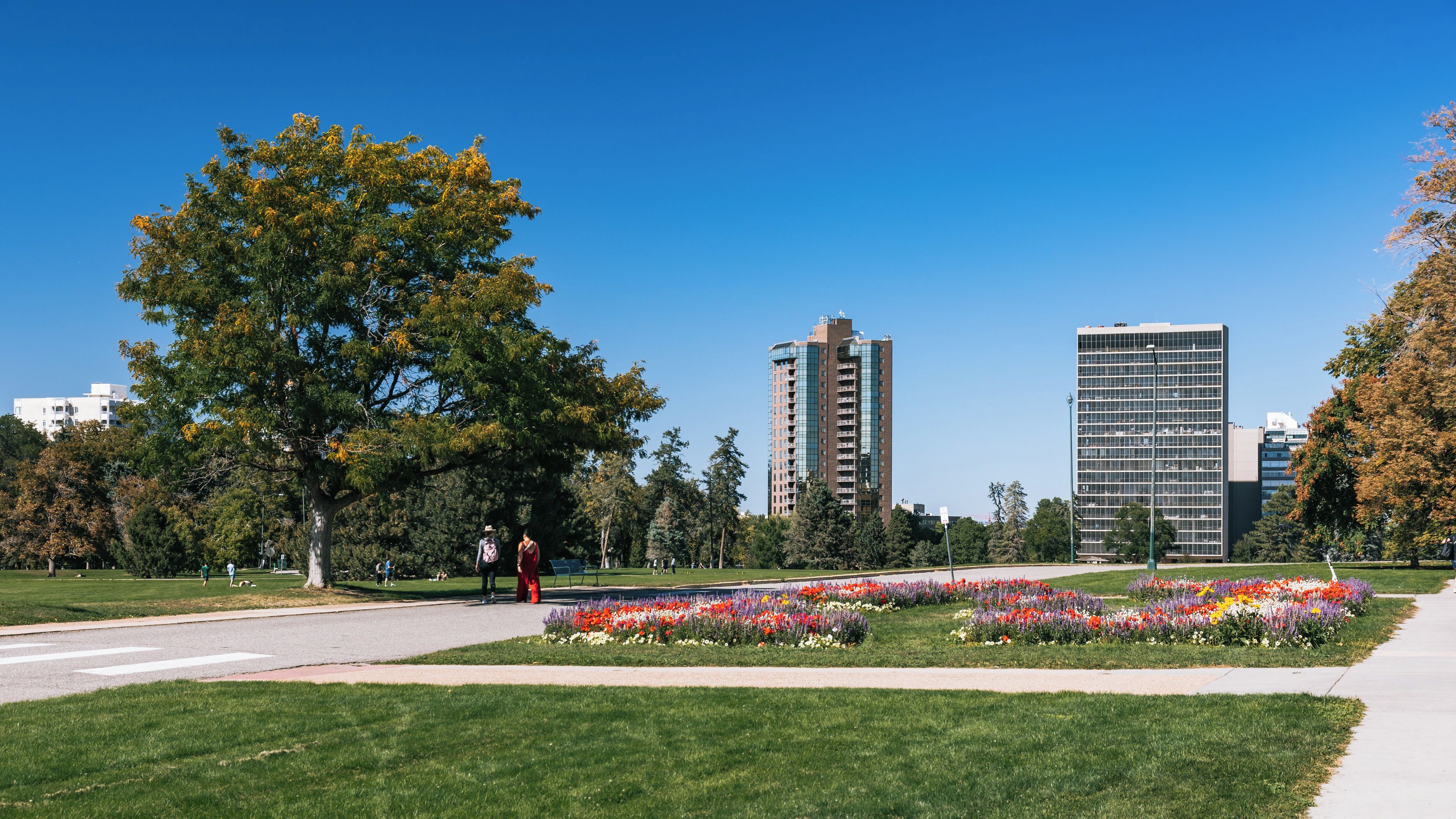 Cheesman Park