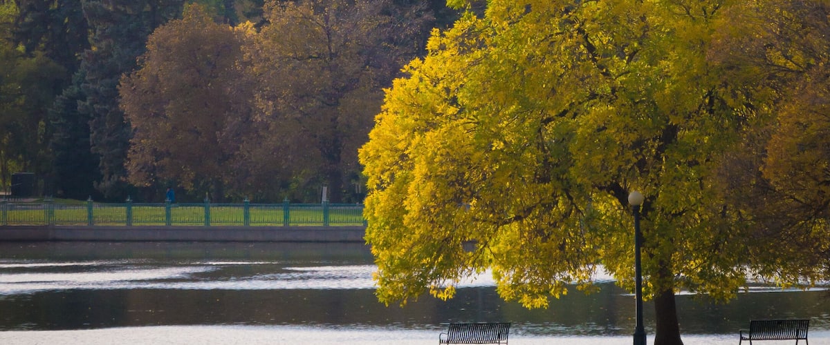 view showing the denver skyline