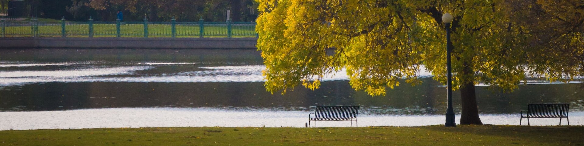view showing the denver skyline