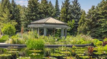 Pavilion at Water garden with in Denver botanical gardens