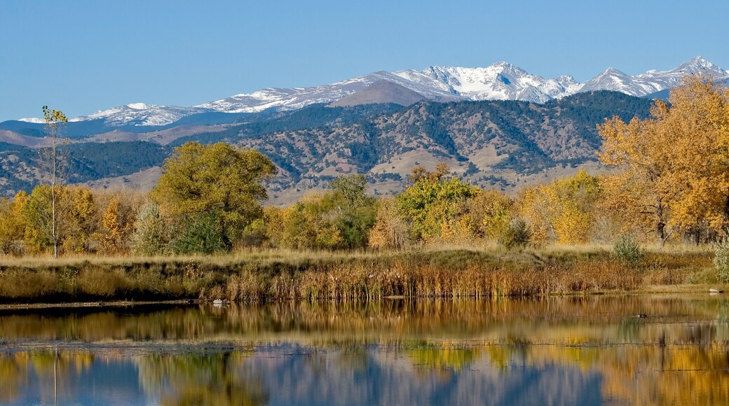 Hot Air Balloon Over the Rockies