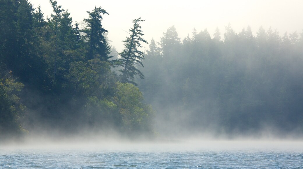 Cascade Lake showing mist or fog and a lake or waterhole