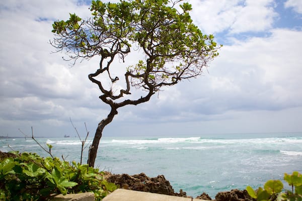 Malecón showing general coastal views