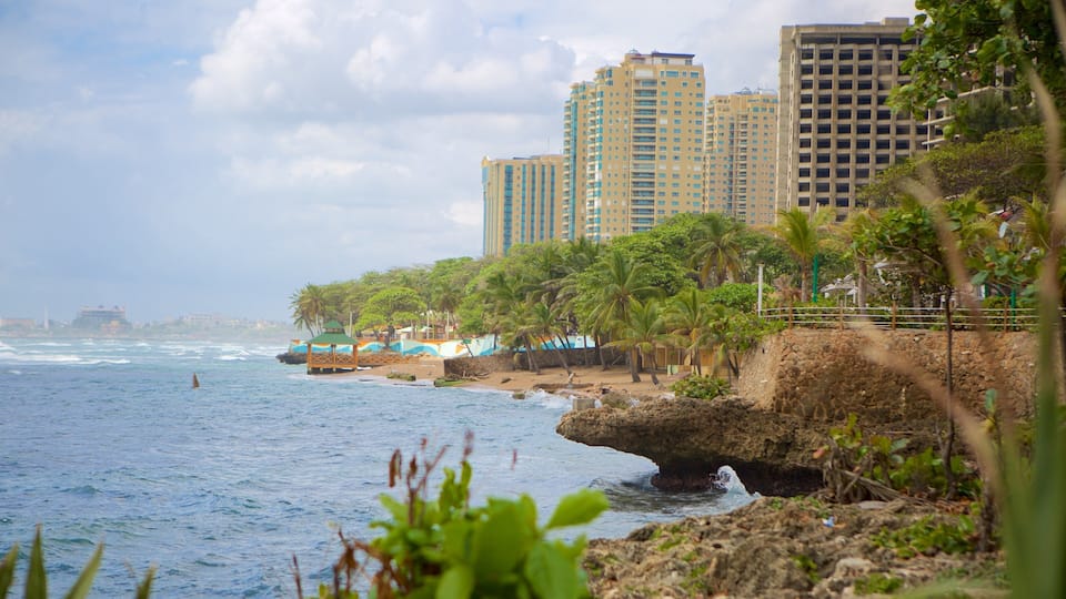 Malecon showing general coastal views and a city