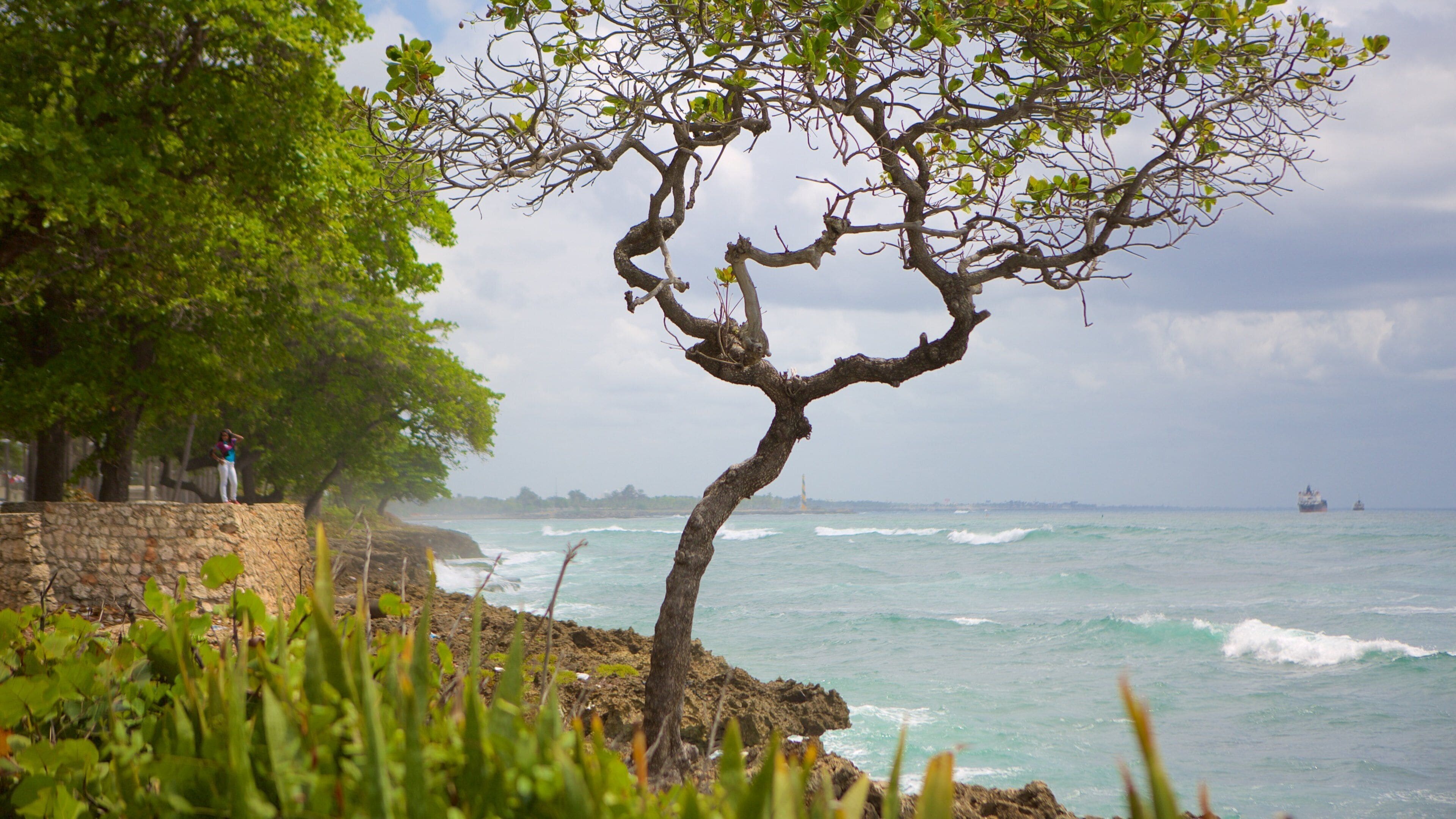 馬雷貢 其中包括 一般的海岸景觀
