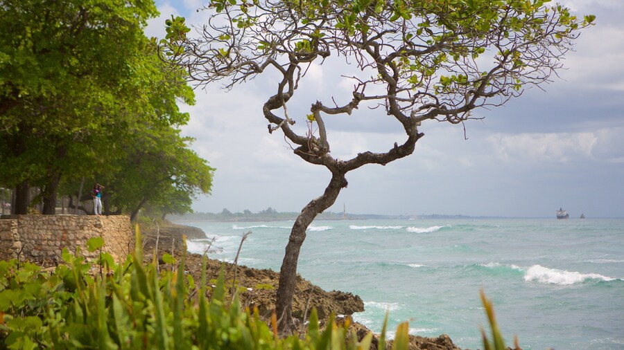 Malecon showing general coastal views