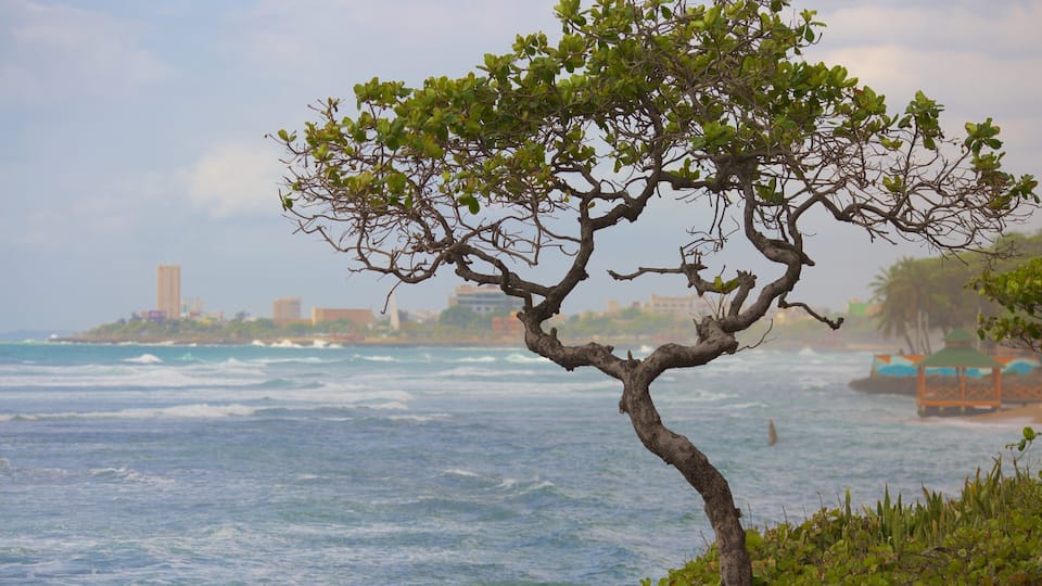 Malecon featuring general coastal views