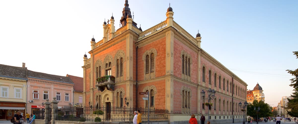 Novi Sad featuring a sunset, heritage architecture and a city