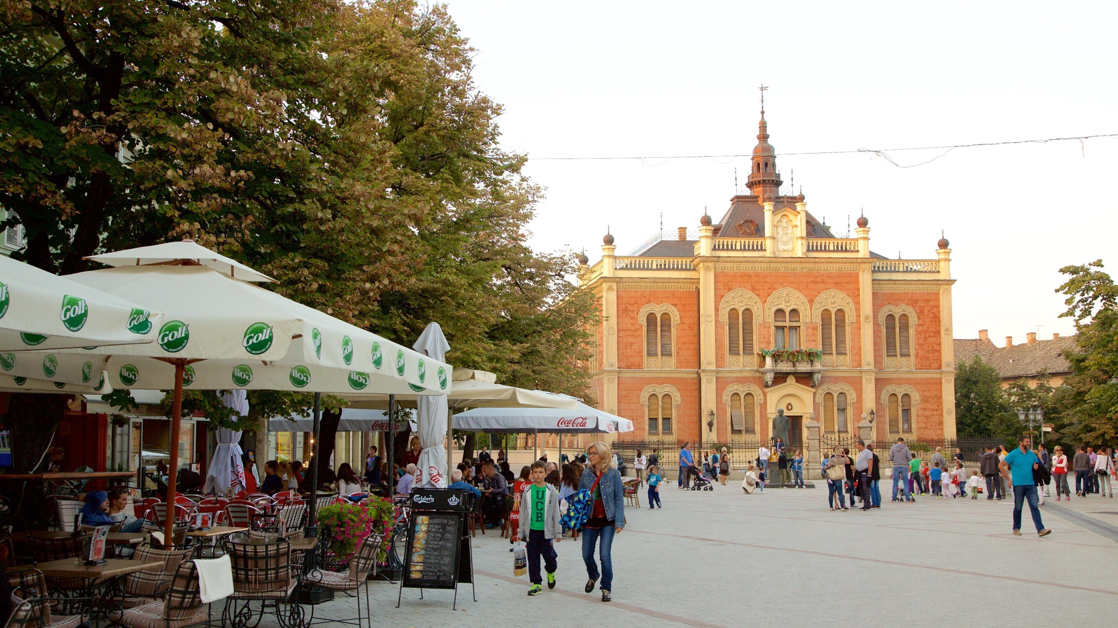 Novi Sad showing street scenes, a city and a castle