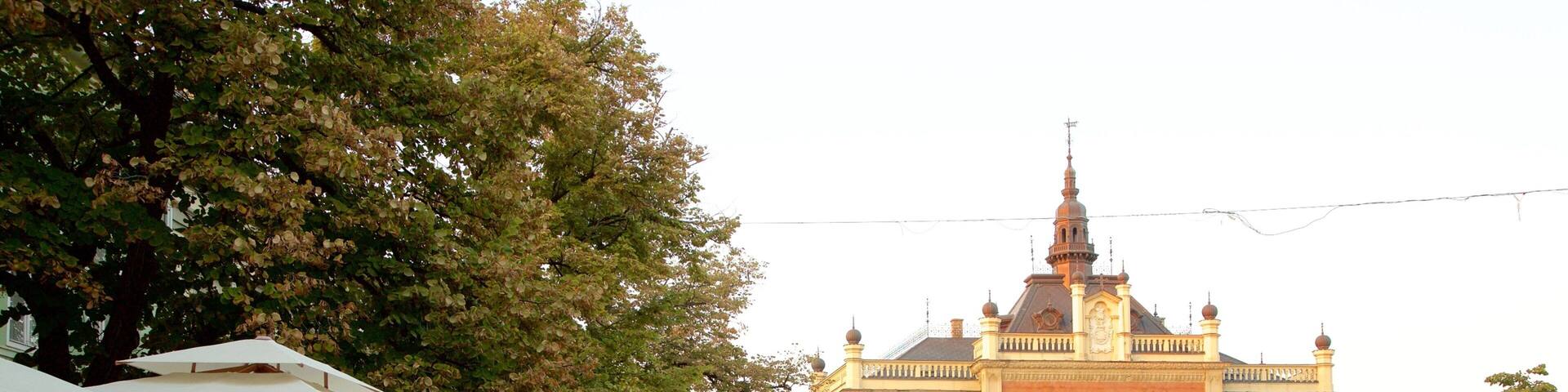 Novi Sad showing street scenes, a city and a castle
