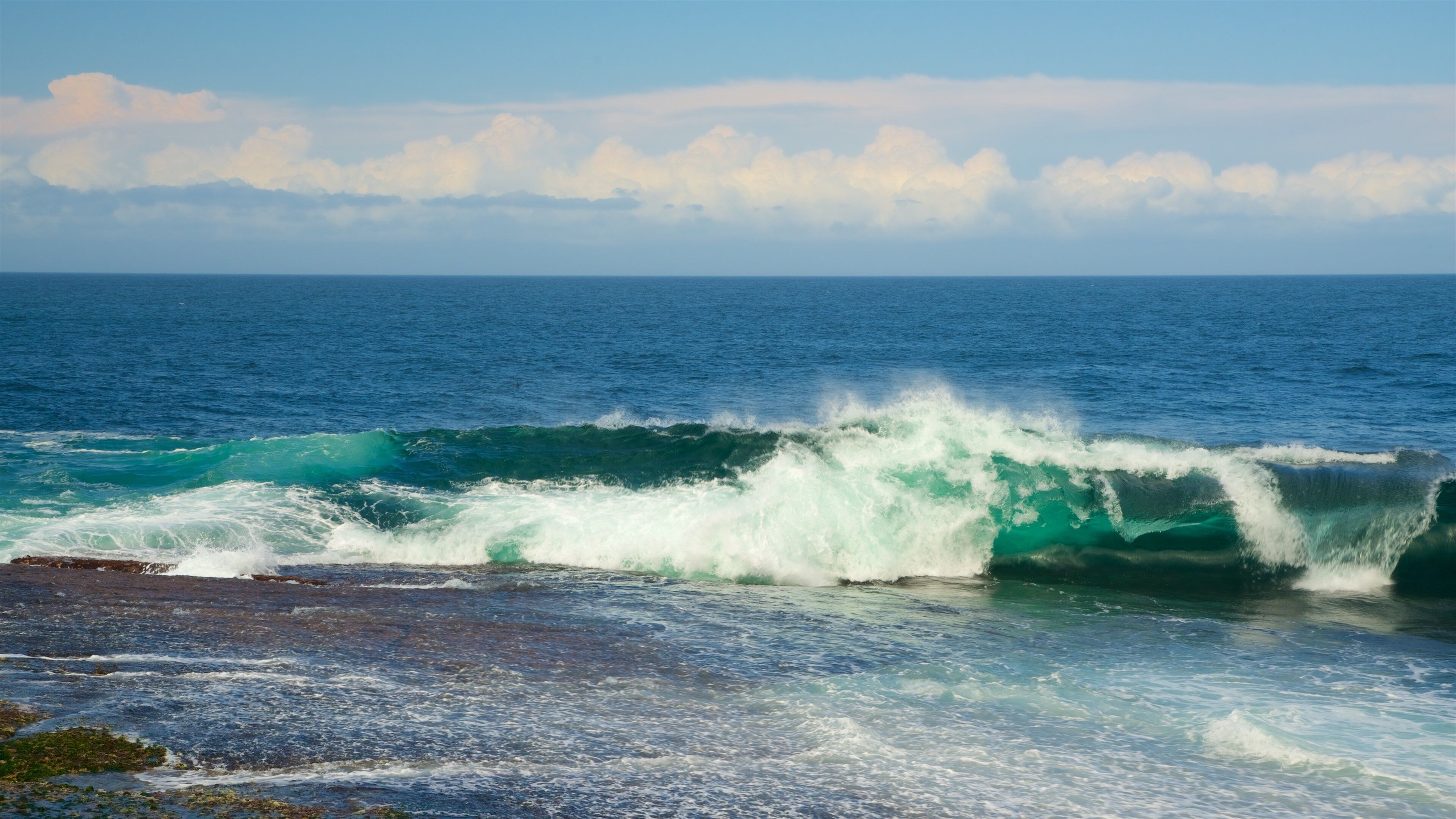 Moes Rock showing general coastal views and surf