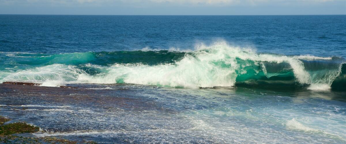 Moes Rock showing general coastal views and surf