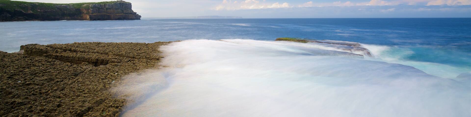 Sanctuary Point que inclui recifes coloridos e ondas